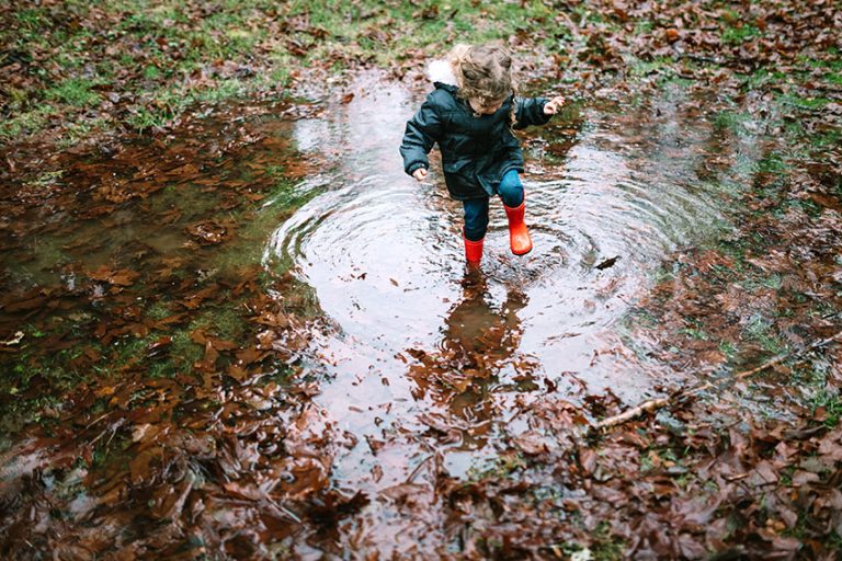 Managing Parasite Risks in Rain-Soaked Yards: The Importance of a Pooper Scooper Service in Beaverton, OR